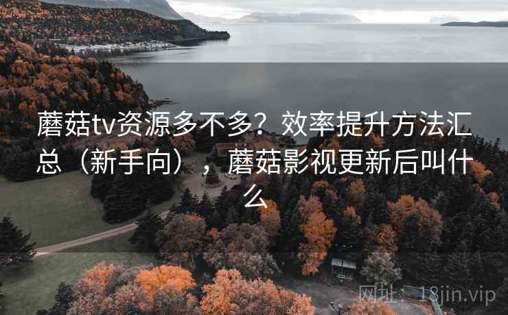蘑菇tv资源多不多？效率提升方法汇总（新手向），蘑菇影视更新后叫什么