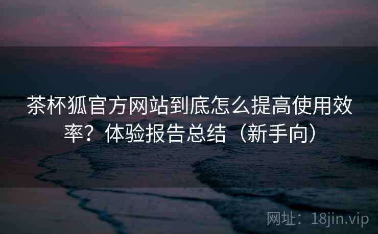 茶杯狐官方网站到底怎么提高使用效率？体验报告总结（新手向）