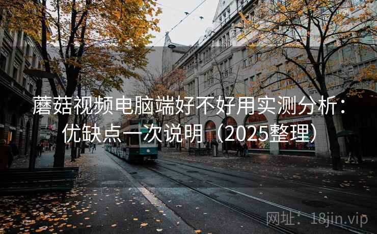 蘑菇视频电脑端好不好用实测分析：优缺点一次说明（2025整理）