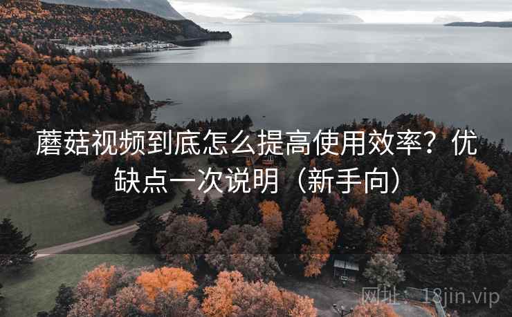 蘑菇视频到底怎么提高使用效率？优缺点一次说明（新手向）