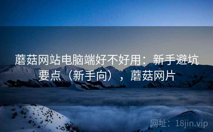蘑菇网站电脑端好不好用：新手避坑要点（新手向），蘑菇网片