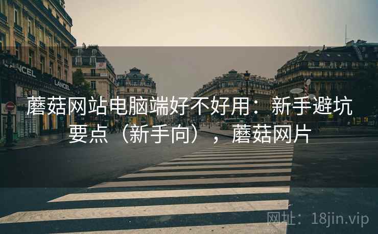 蘑菇网站电脑端好不好用：新手避坑要点（新手向），蘑菇网片