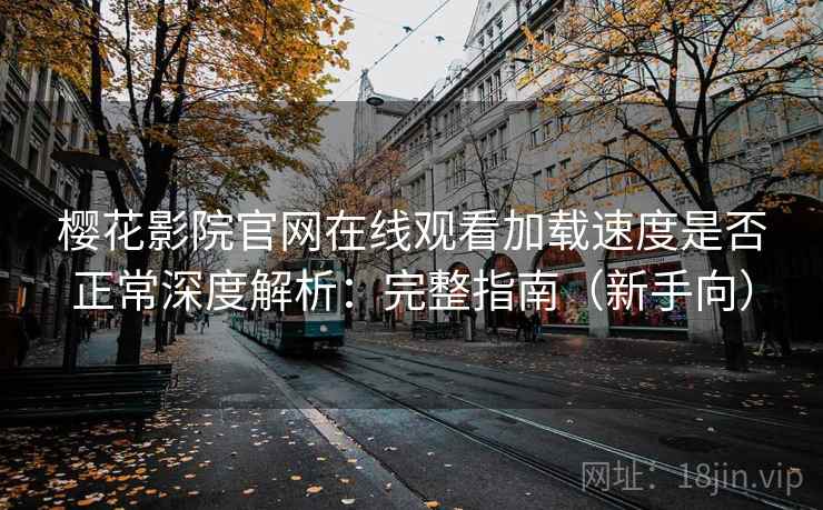 樱花影院官网在线观看加载速度是否正常深度解析：完整指南（新手向）
