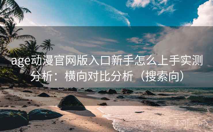 age动漫官网版入口新手怎么上手实测分析：横向对比分析（搜索向）